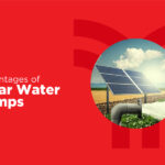 Advantages of using solar water pumps on your farm